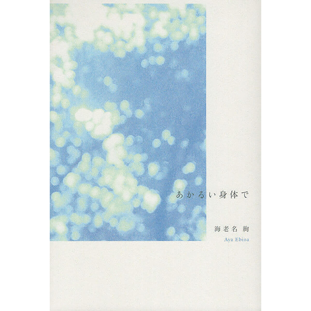 『あかるい身体で』著/海老名 絢