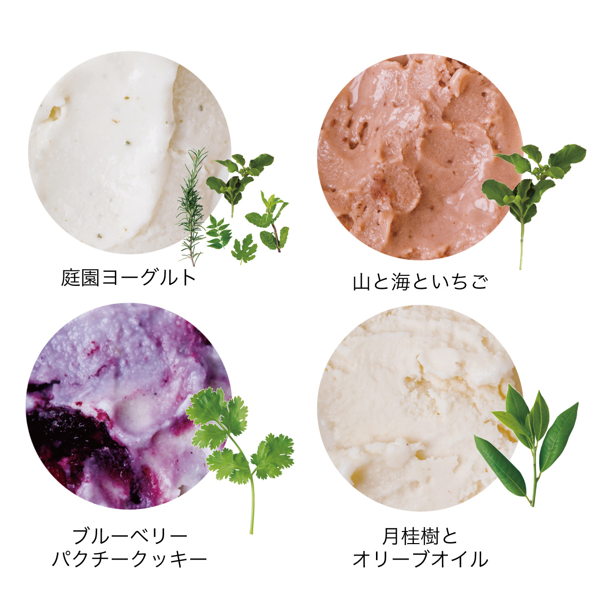 〈KIKI NATURAL ICECREAM〉のジェラート
