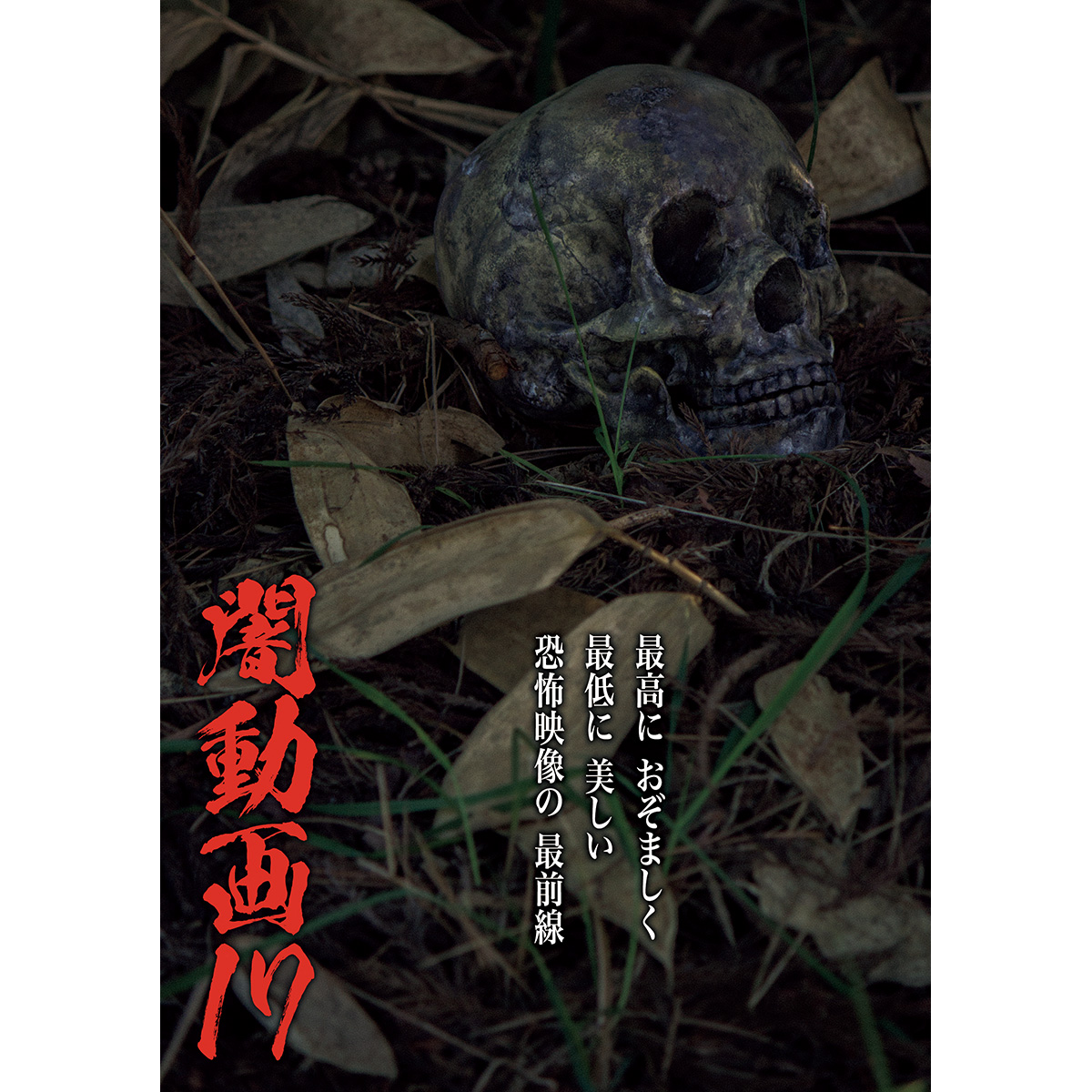 心霊ビデオ「魔窟2 分離」