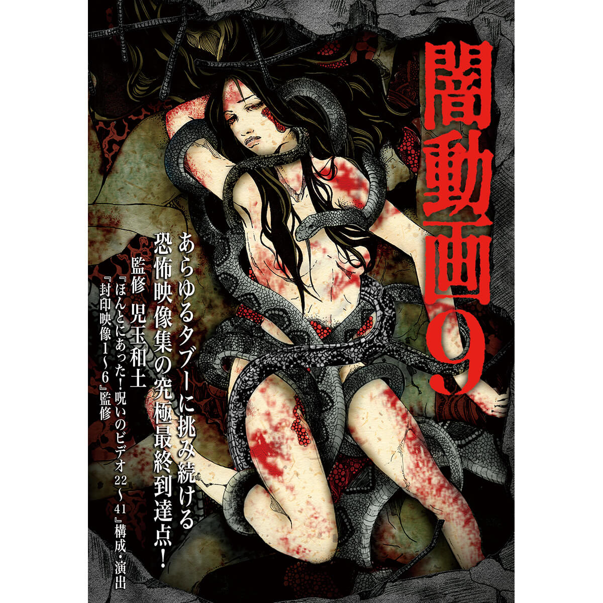 心霊ビデオ「消失点」