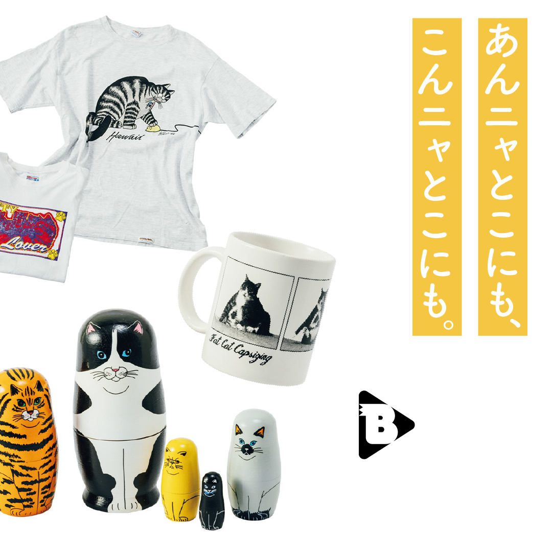 デイリーブルータス_あんニャとこにも、こんニャとこにも