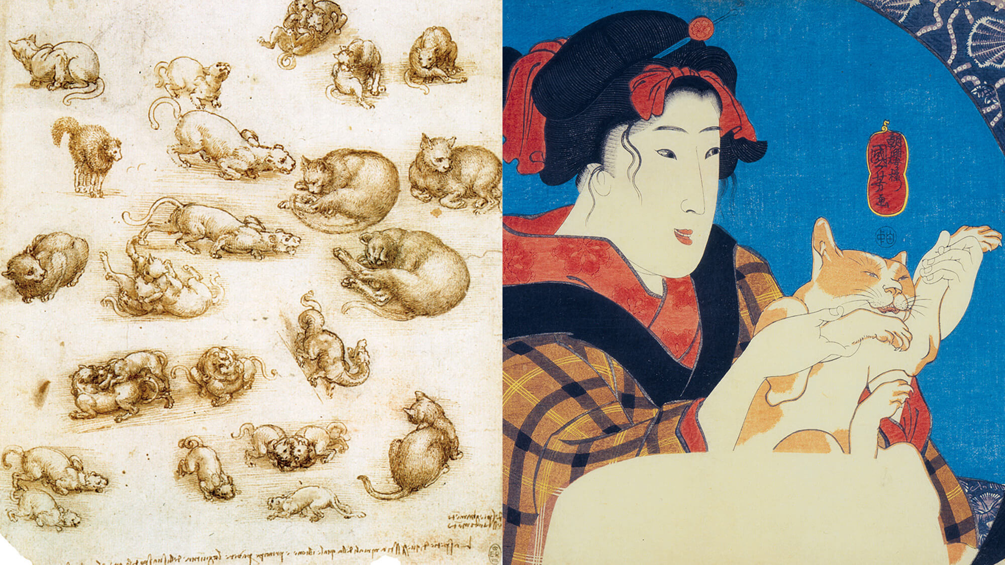 ダ・ヴィンチも國芳も。古今東西、描かれた猫たち | ブルータス| BRUTUS.jp
