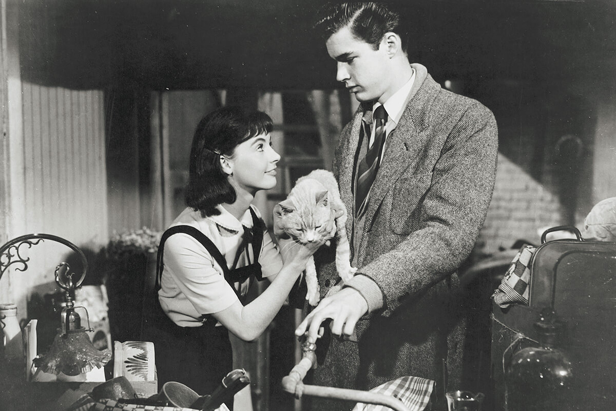 映画『アンネの日記』