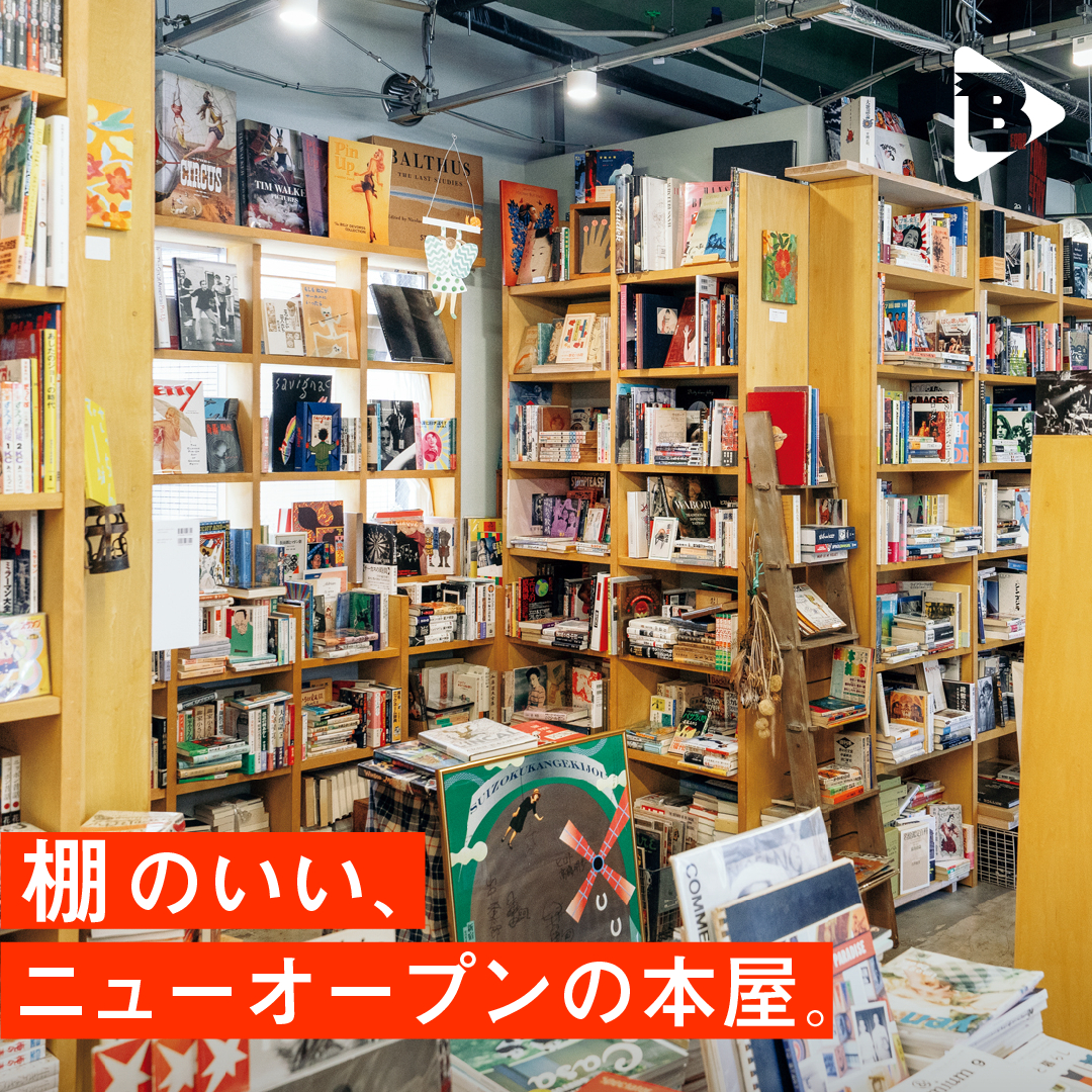 デイリーブルータス_棚のいい、ニューオープンの本屋。