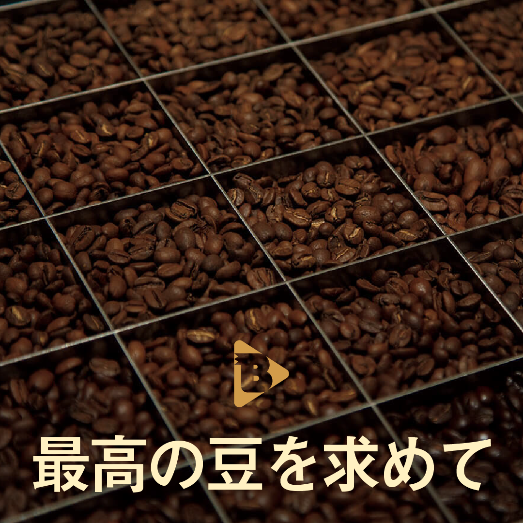 デイリーブルータス_最高の豆を求めて