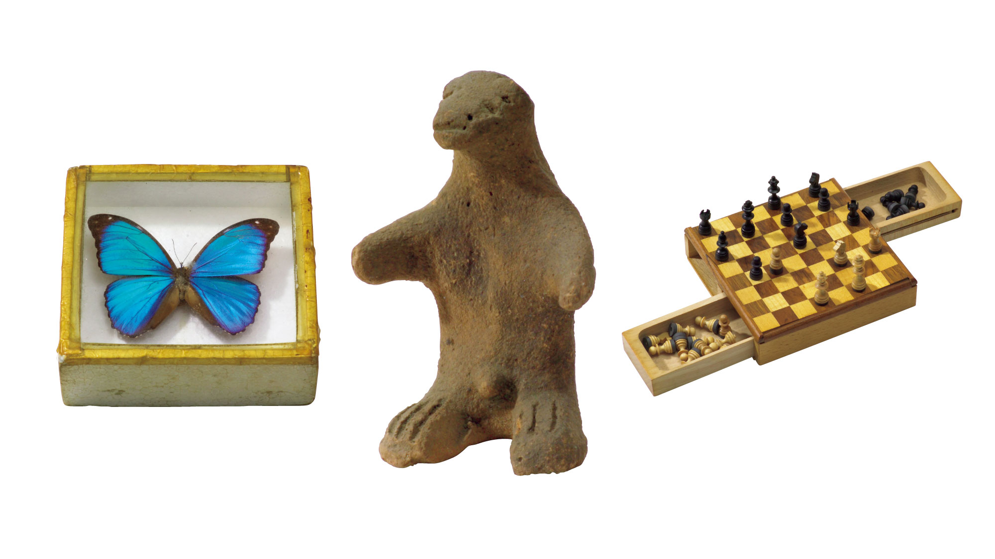 シュルレアリスムの目利きが書斎で眺めたオブジェたち。富山県美術館の