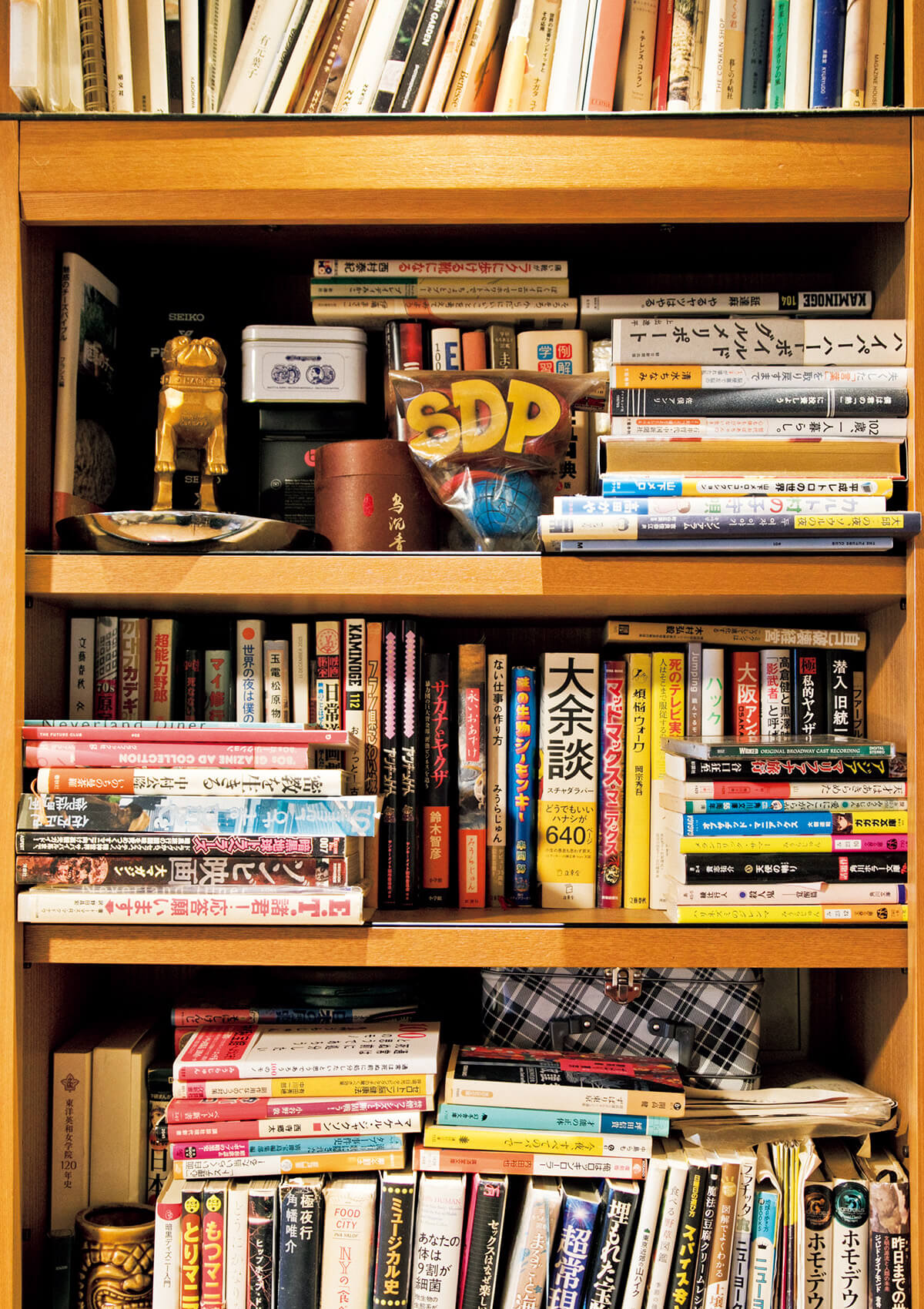 TVディレクター・岡宗秀吾 自宅 本棚
