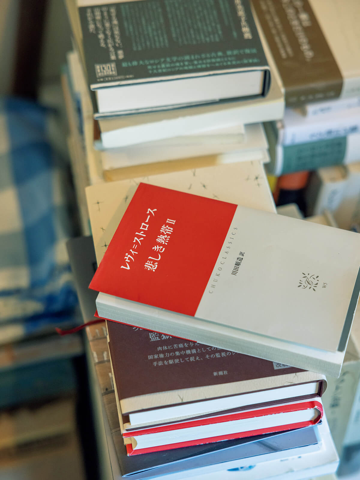 『悲しき熱帯Ⅱ』クロード・レヴィ=ストロース／著