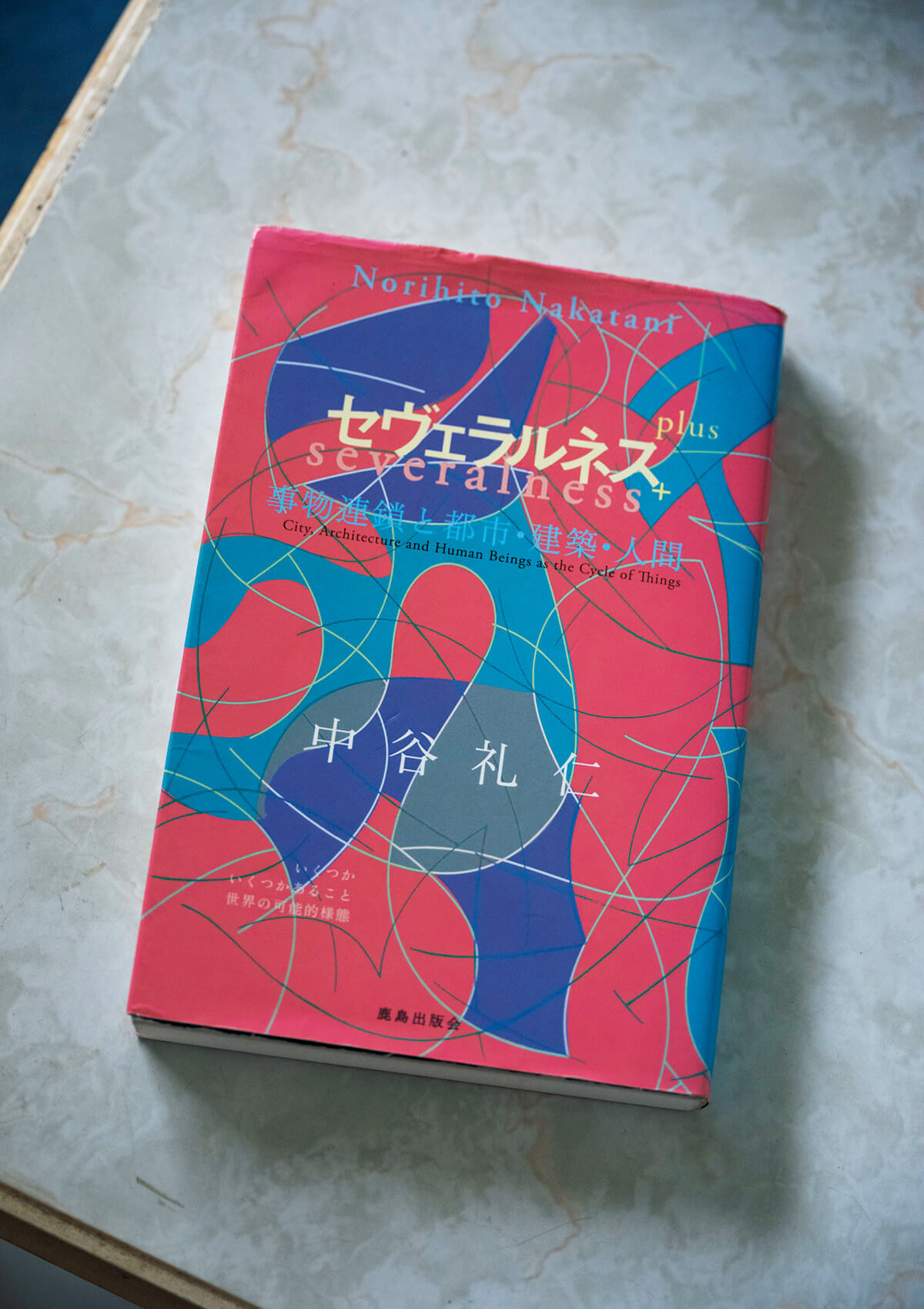 『セヴェラルネス ＋ 事物連鎖と都市・建築・人間』中谷礼仁／著
