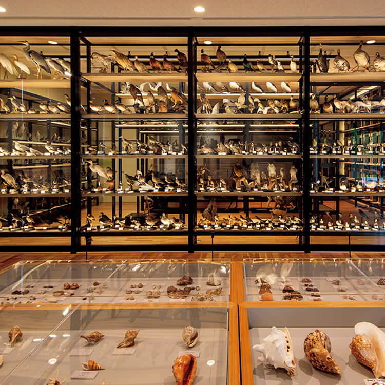 ミュージアムの現状と未来を学ぶ。愛好者として知っておきたい課題を、Q&Aで解説