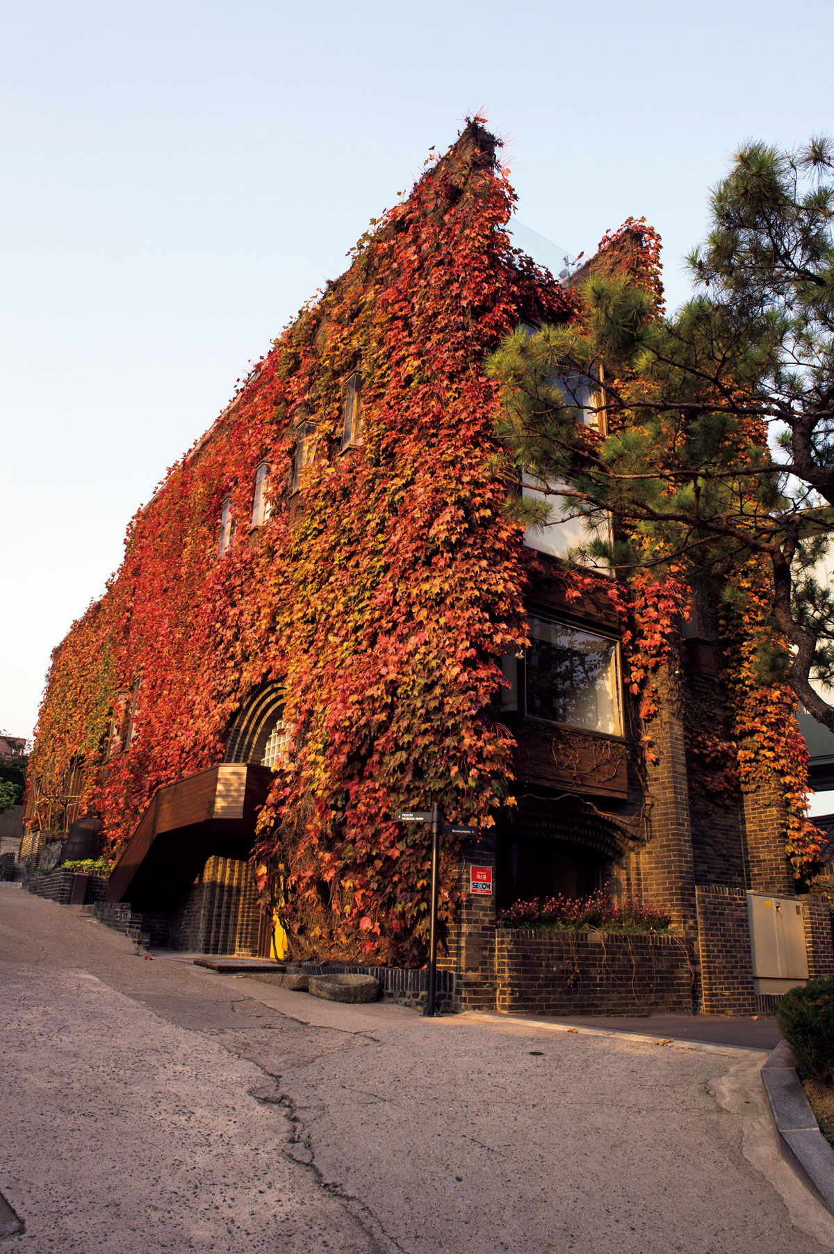 蔦に覆われているARARIO MUSEUM IN SPACE