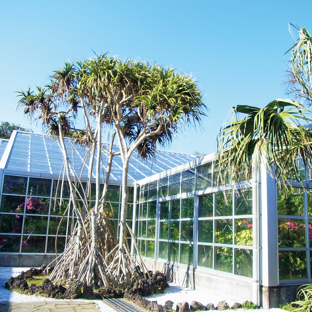 八丈島〈八丈植物公園〉外観