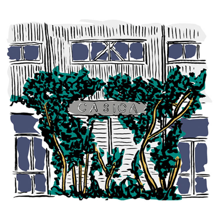 前川明子 イラスト