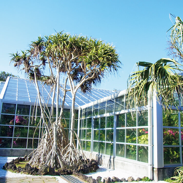 八丈島〈八丈植物公園〉外観