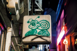 snail record and bar