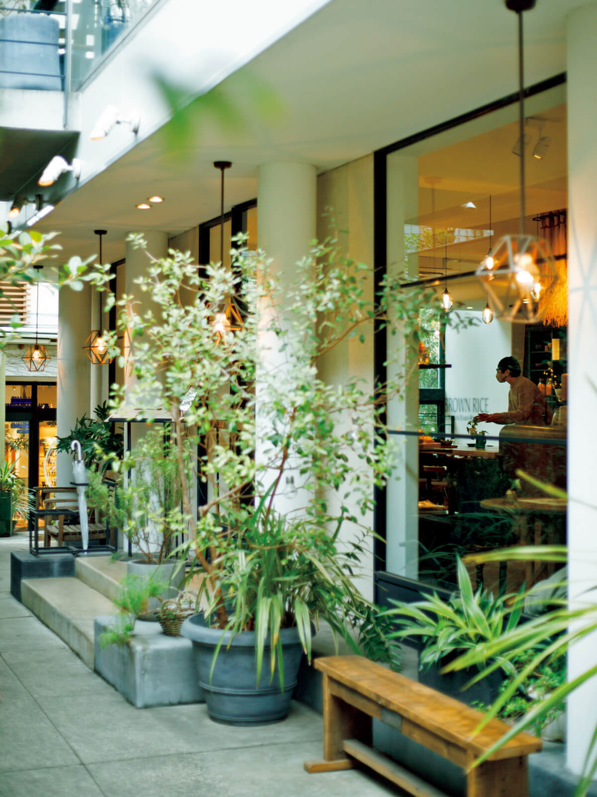 表参道〈BROWN RICE Tokyo Omotesando〉外観