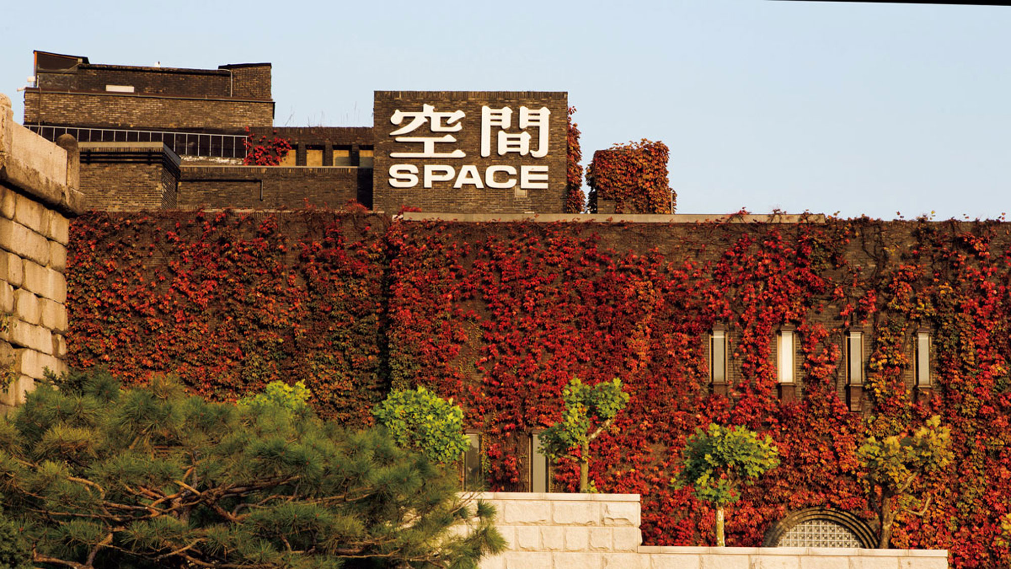 p79-3og-1.jpg