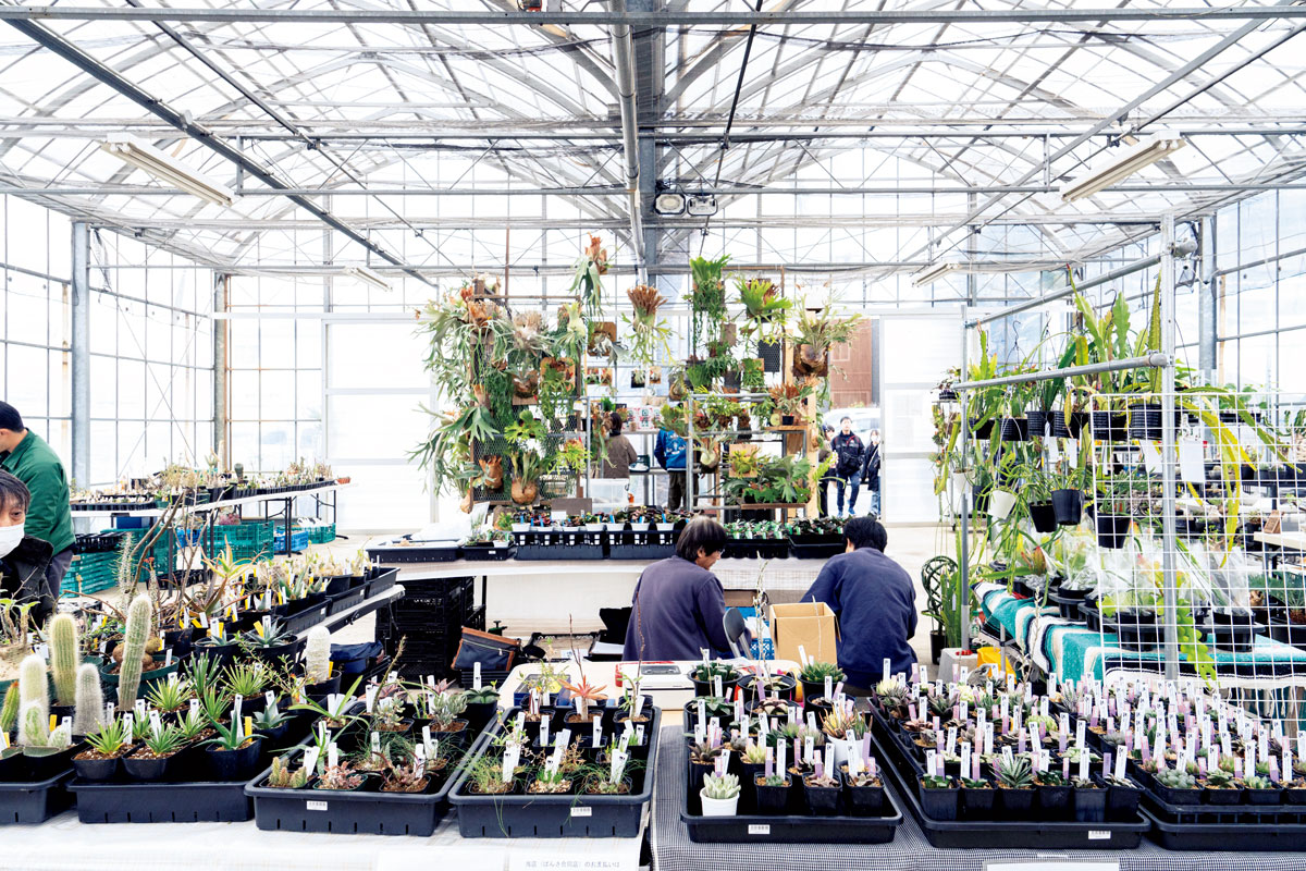 2日間にわたり開催された『樹祭』