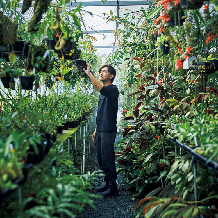見たこともないジャングルの植物を収集し広める。巨大農園〈伊藤蟻植物農園〉