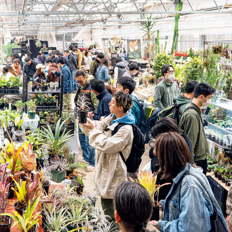 植物を眺めるグラフィックデザイナーの森敬太さん
