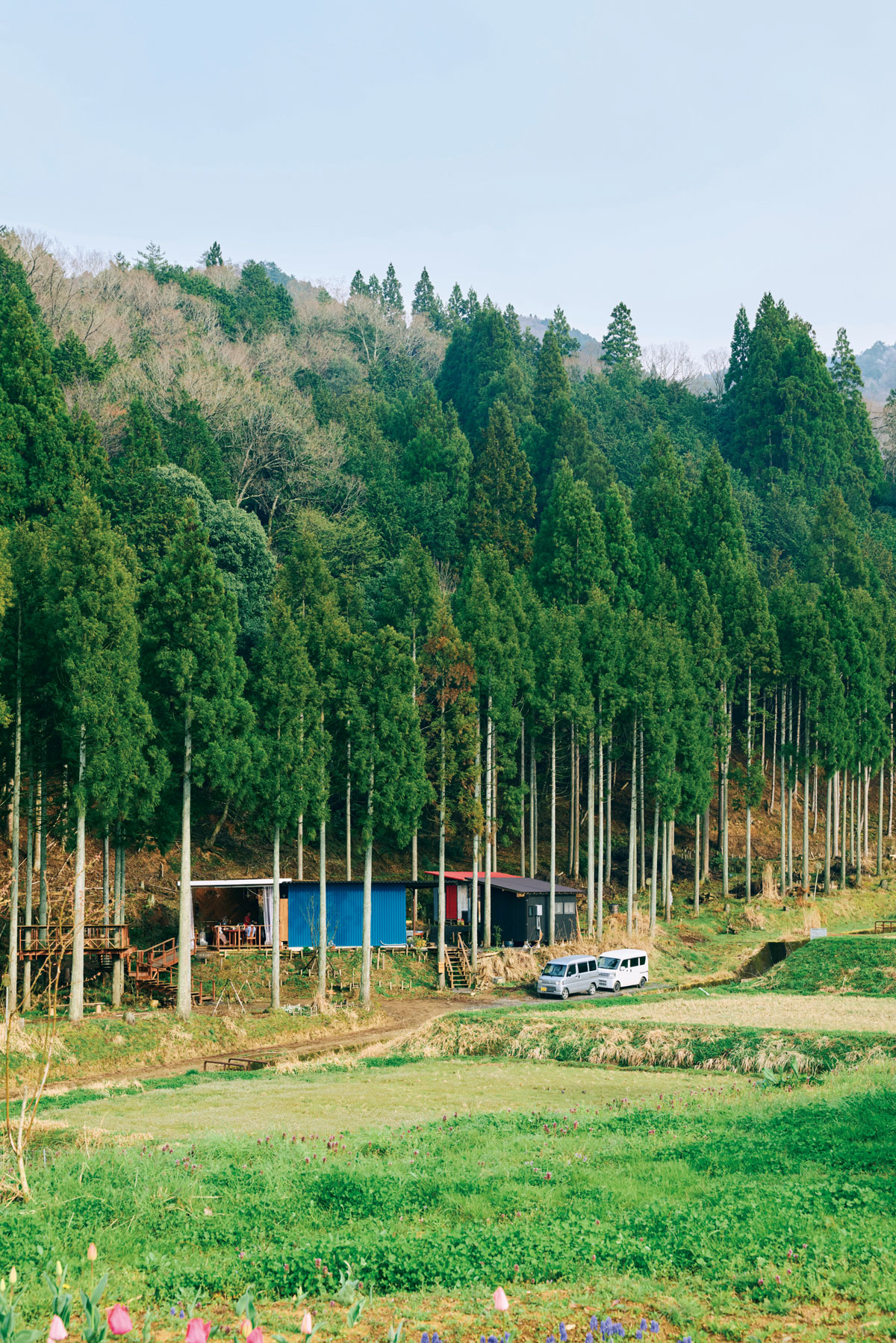 青い壁の厨房、作業場を中心に、右手が貯蔵庫と洗面所、左手が食堂とウッドデッキ