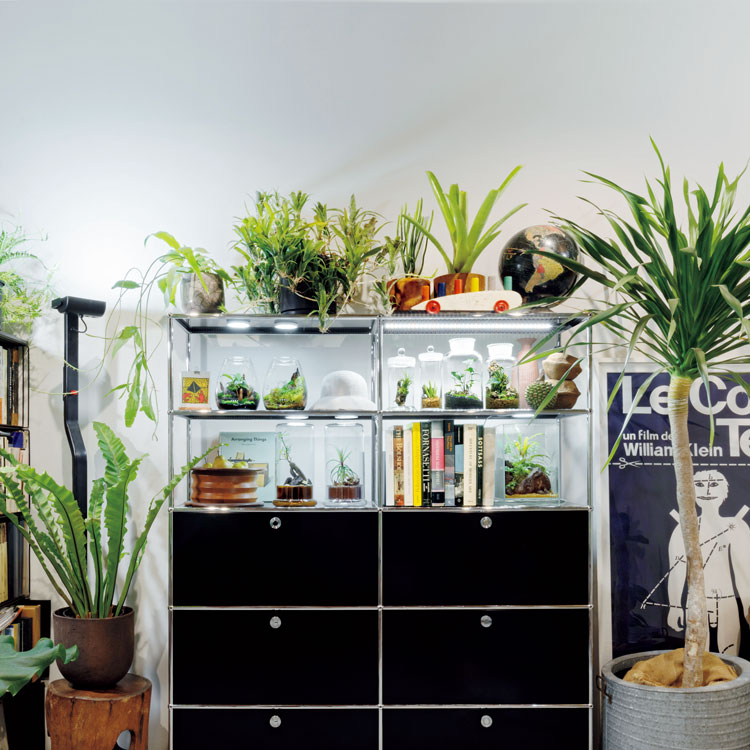 植物の棚は金属製が最適？インテリアスタイリスト・川合将人さんと作る、理想の植物部屋