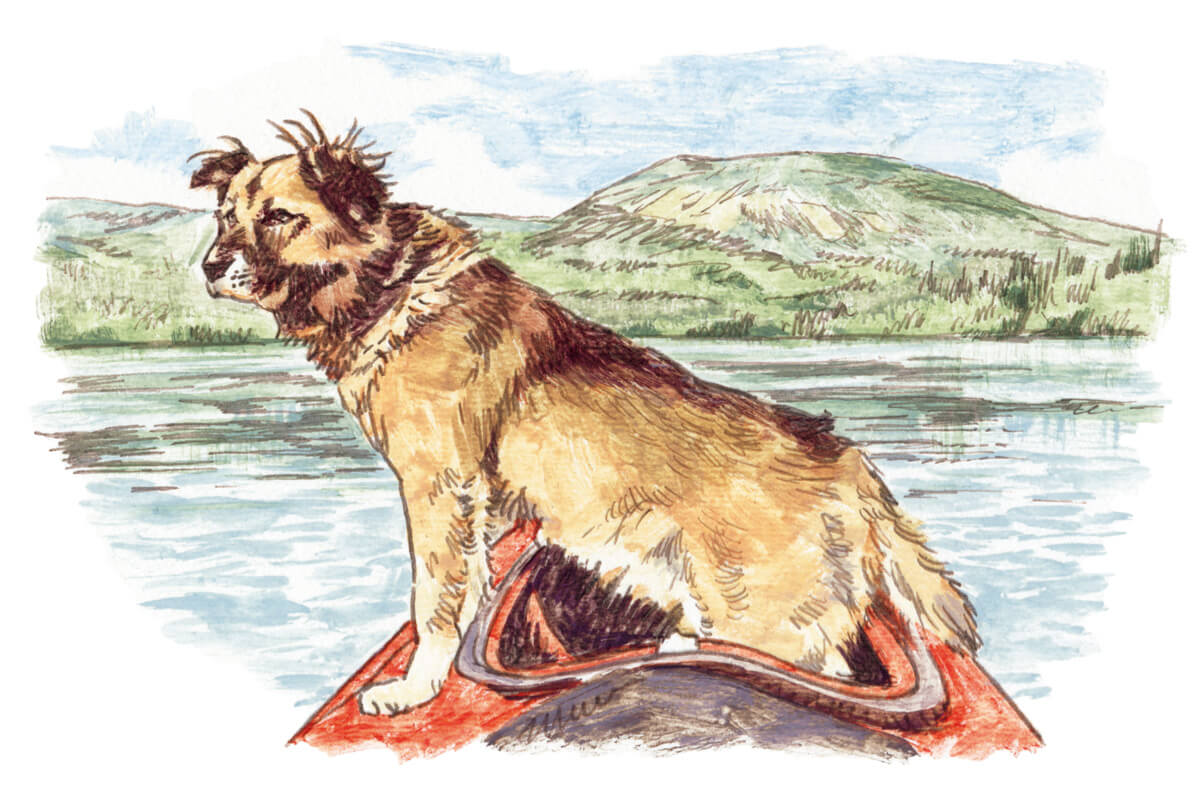 うえむらのぶこ イラスト