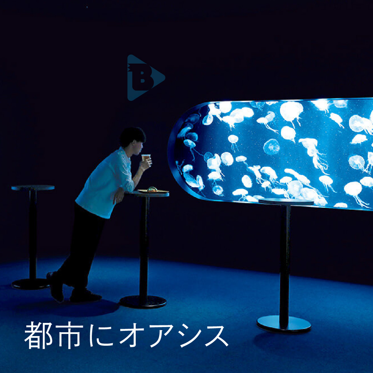 都市にオアシス