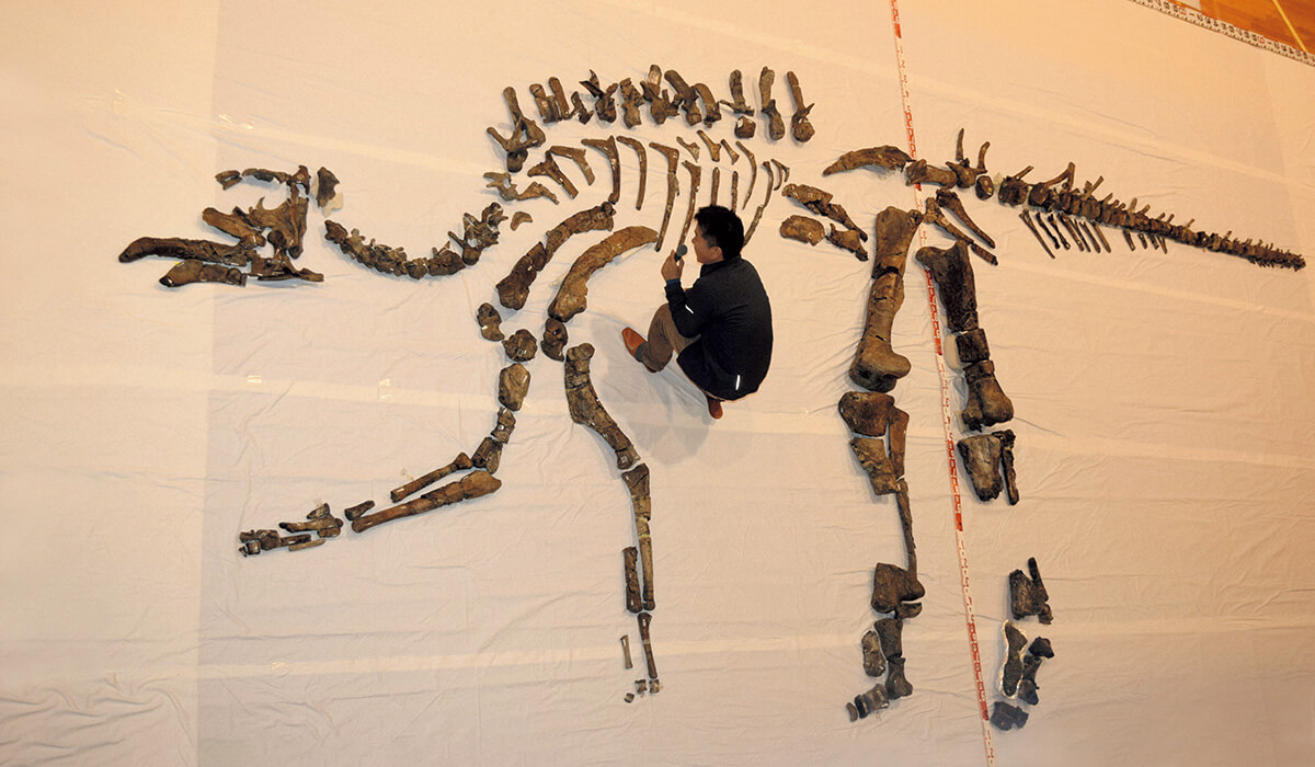 古生物学者・小林快次 むかわ竜(カムイサウルス・ジャポニクス)の全身骨格