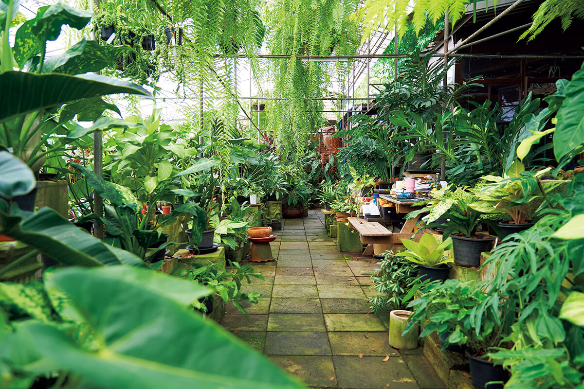 バンコク〈バンカンプ・トロピカル・ギャラリー＆カフェ〉内観