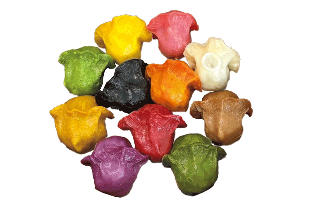 VEGAN GYOZA YU COFFEE