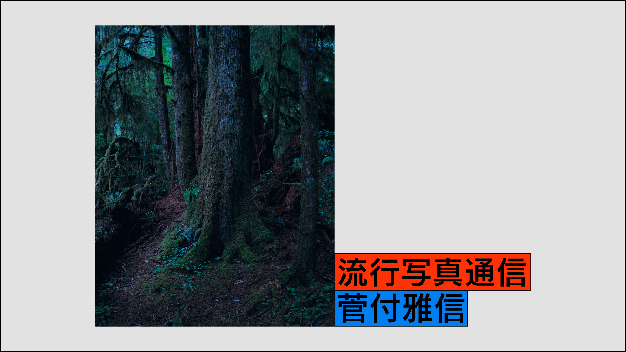 流行写真通信
