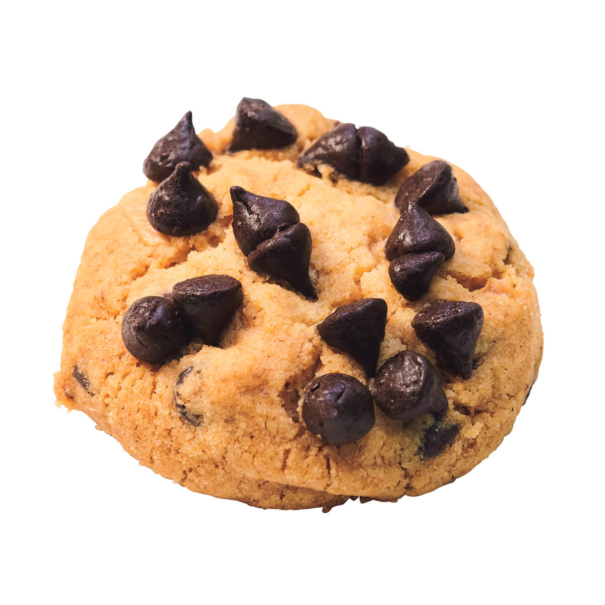 バンコク〈アンポーン・ベーカリー〉チョコチップクッキー