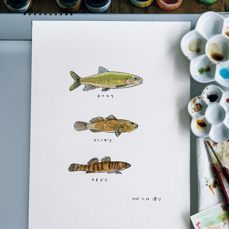 水辺の魚をつぶさに観察する。イラストレーター・横山寛多の、終わらない夏休み