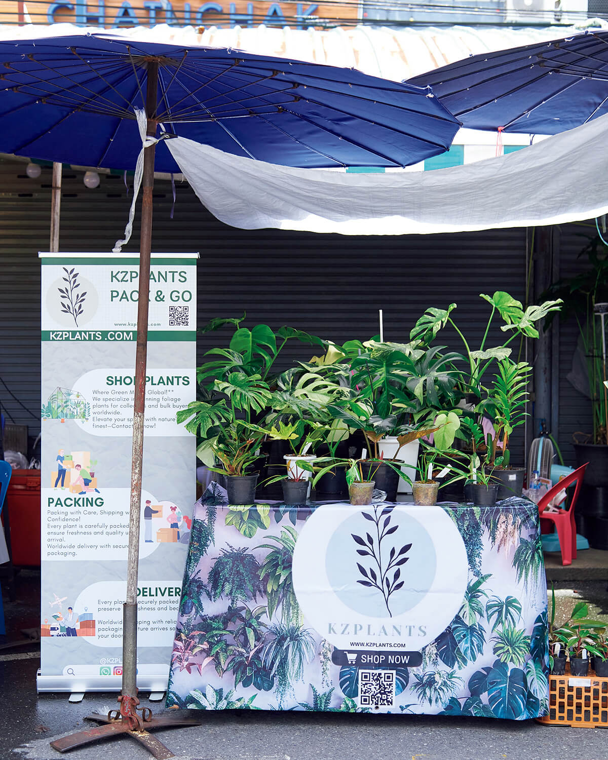 バンコク〈ケージー・プランツ〉in チャトゥチャック市場