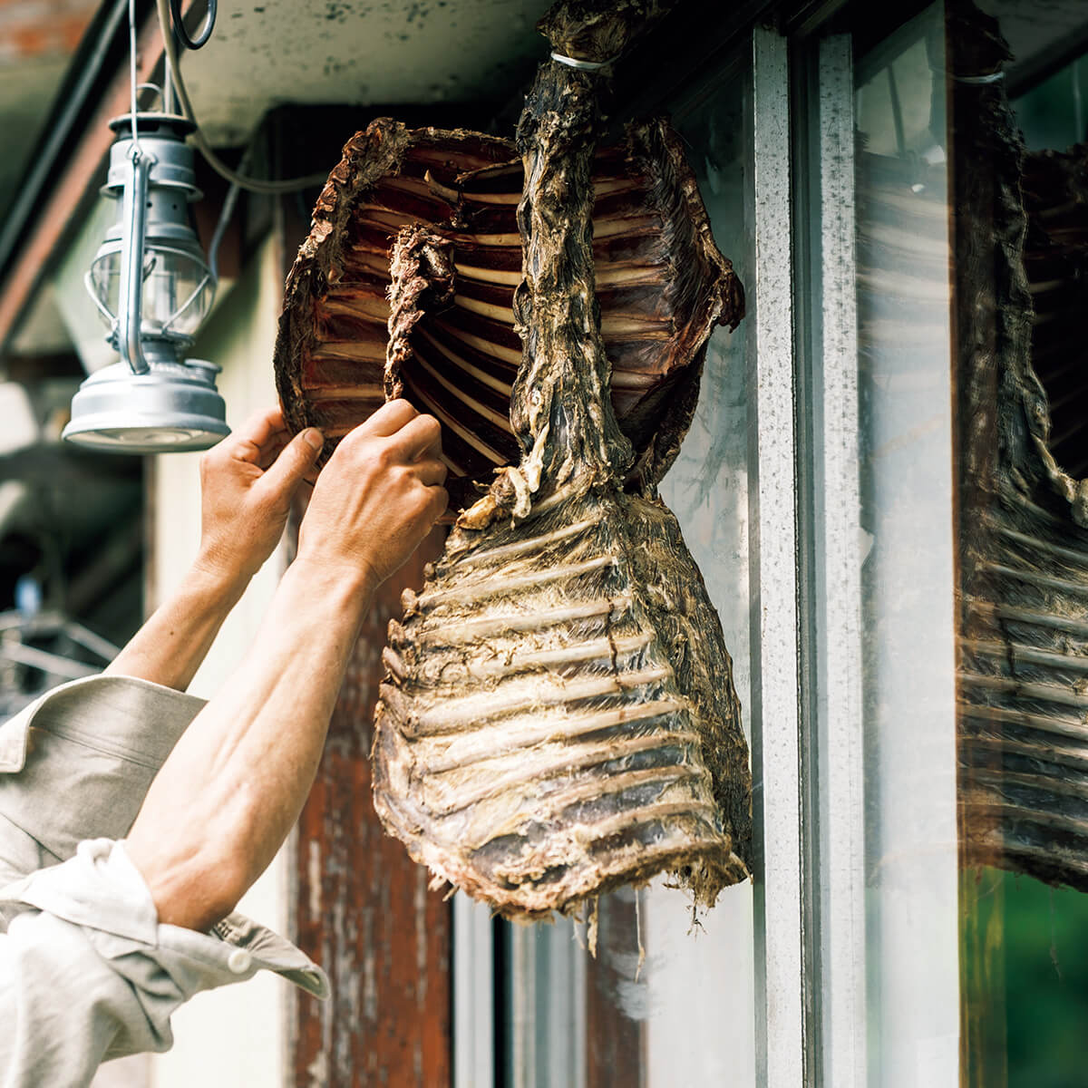 シカのアバラ肉