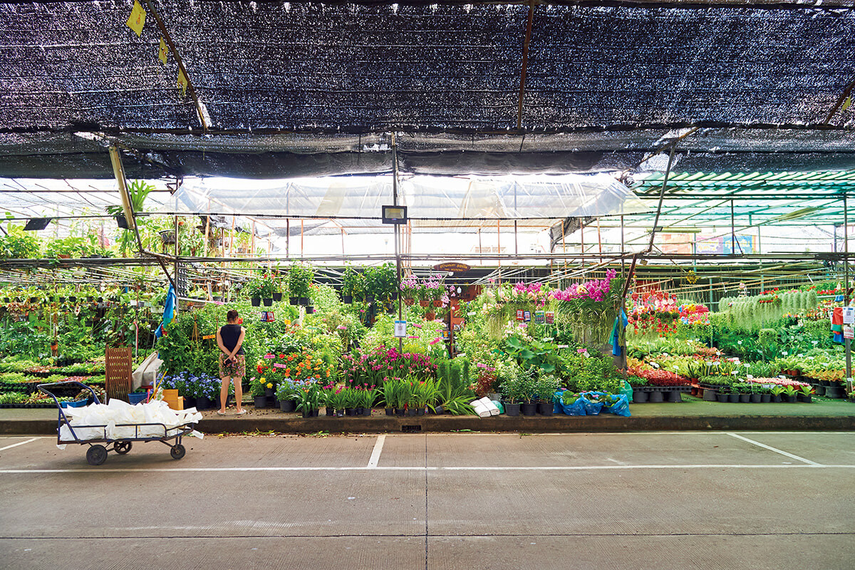 バンコク〈ガーデン・センター・バヤイ〉