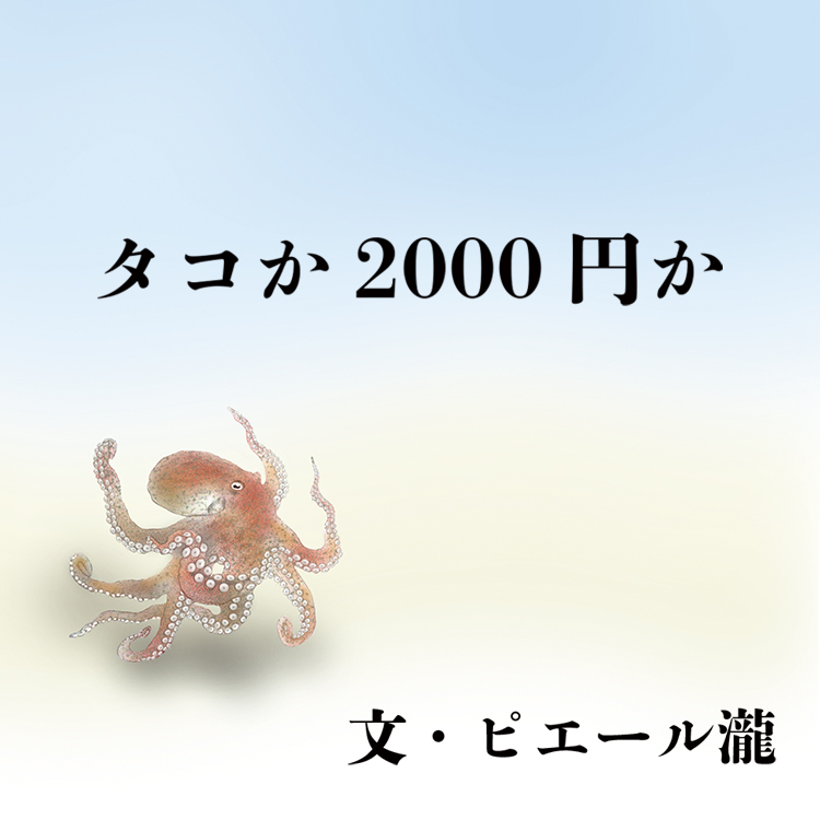 タコか2000円か　文・ピエール瀧