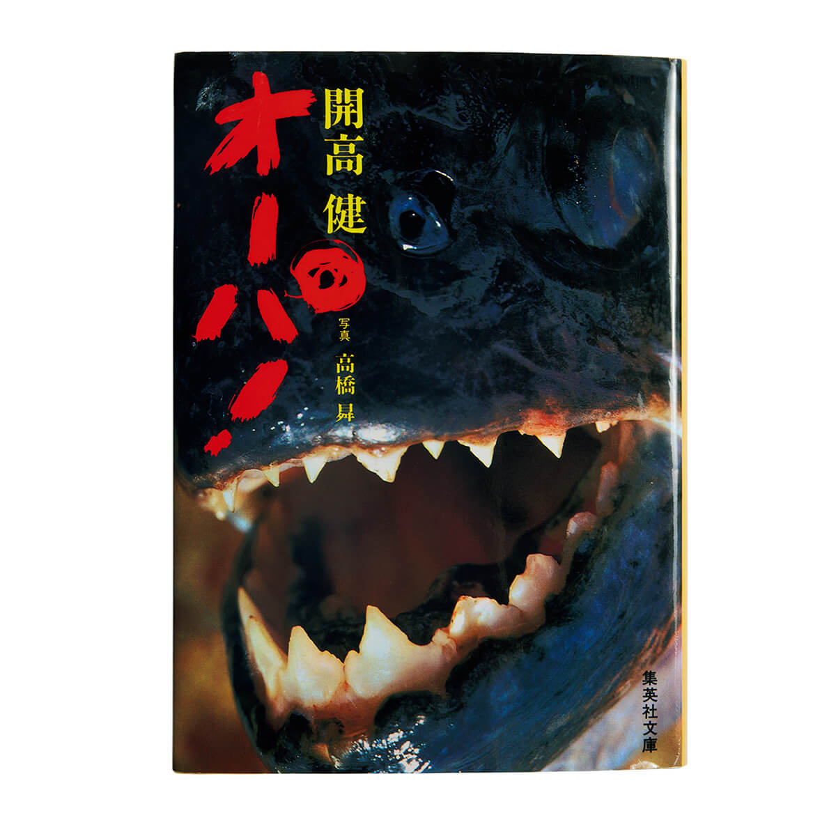 作家・滝口悠生が読む、釣り文芸の古典『オーパ！』 | ブルータス