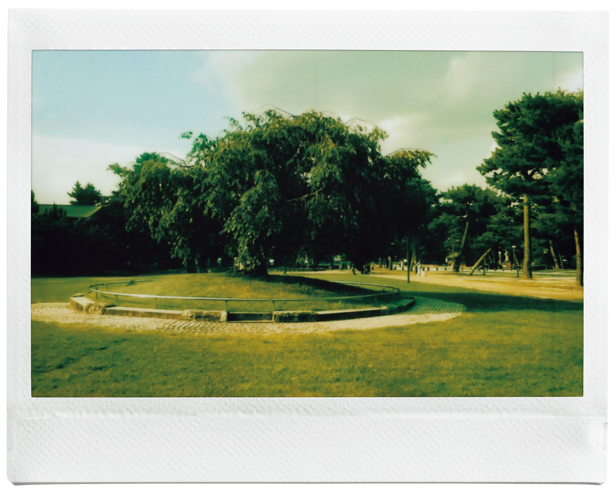 FUJIFILM instax WIDE Evo™で撮影をした岡崎公園