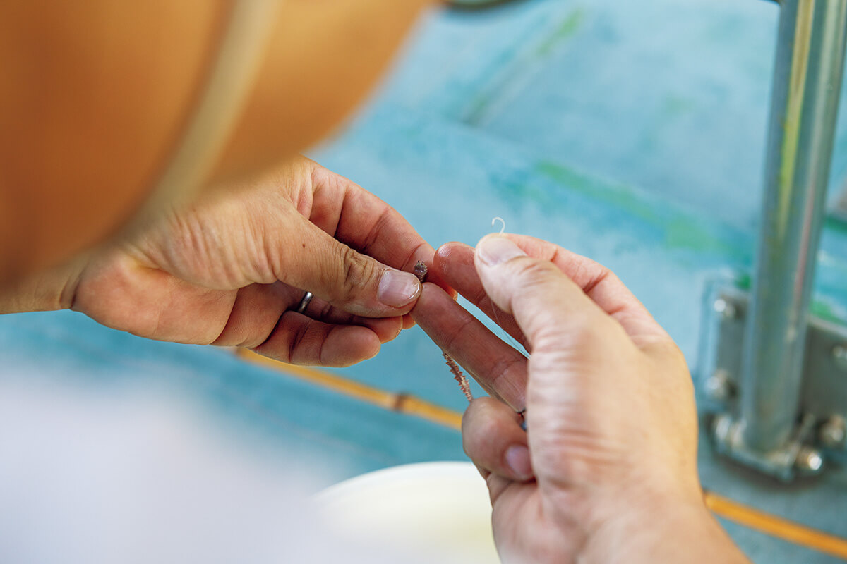 釣り船・屋形船 深川冨士見 船頭・石嶋広士
