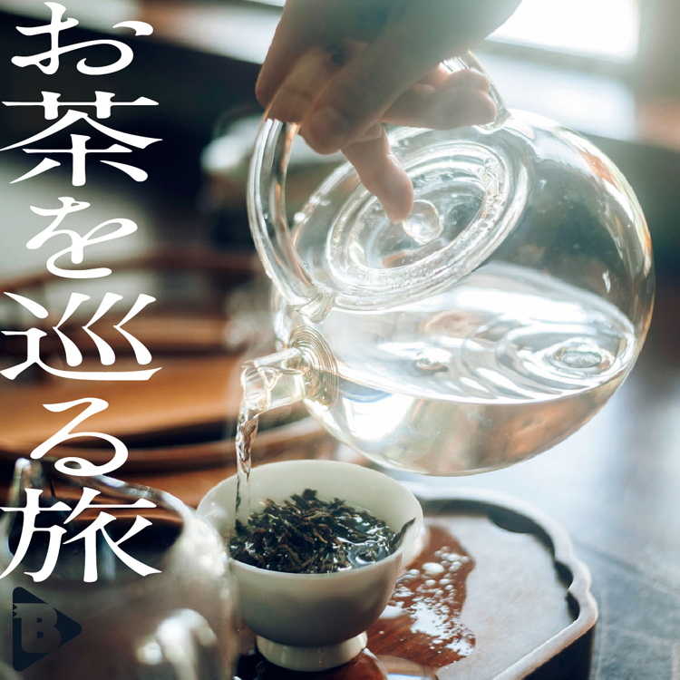 お茶を巡る旅