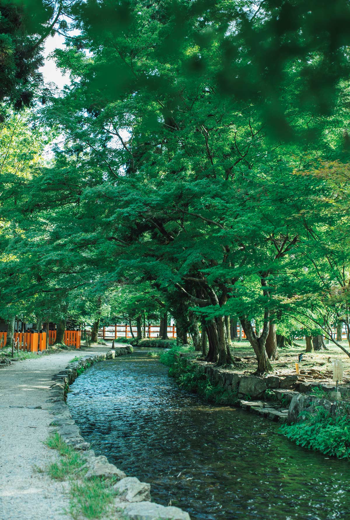 御手洗川