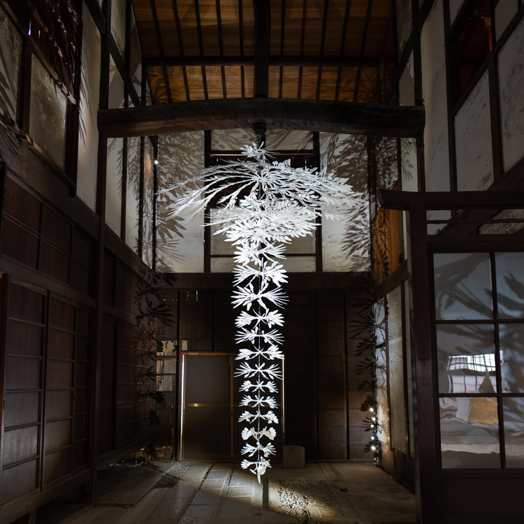 『BIWAKOビエンナーレ2025』、近江八幡で開幕。江戸時代の町家がアートで甦る