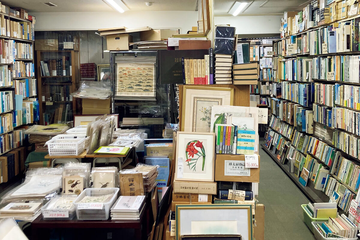 神保町〈鳥海書房〉店内