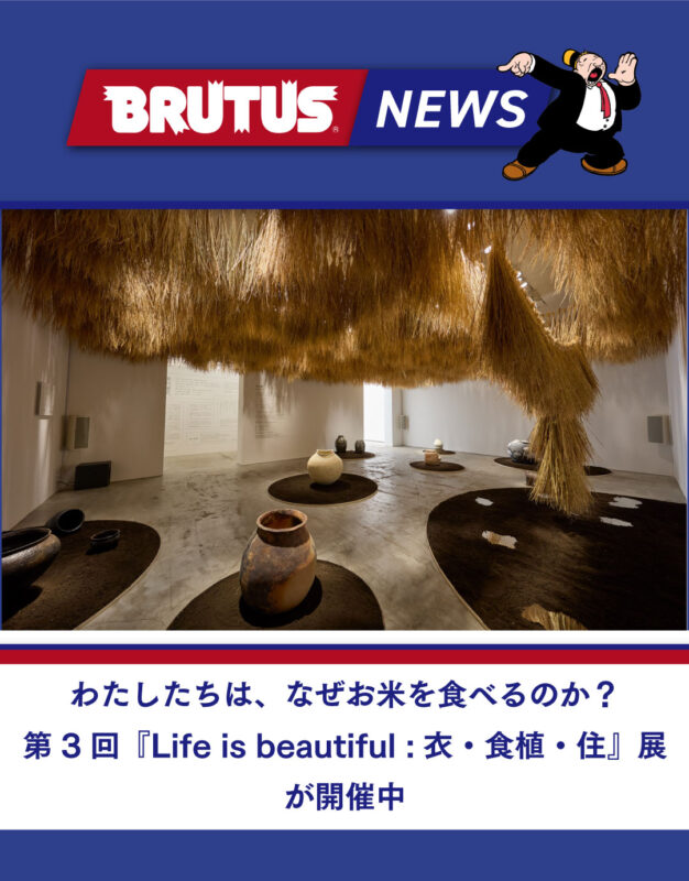 わたしたちは、なぜお米を食べるのか？第3回『Life is beautiful：衣・食植・住』展が開催中