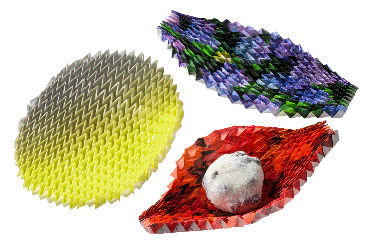 〈辻徳〉の紙皿