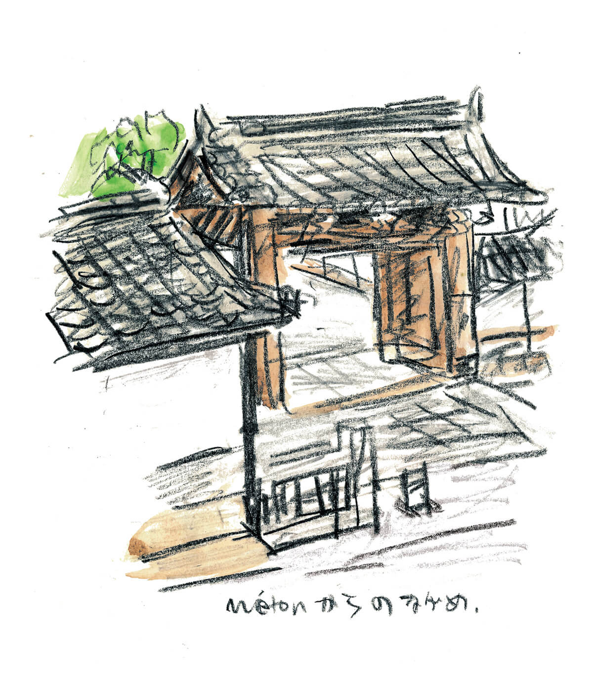 マメイケダ イラスト