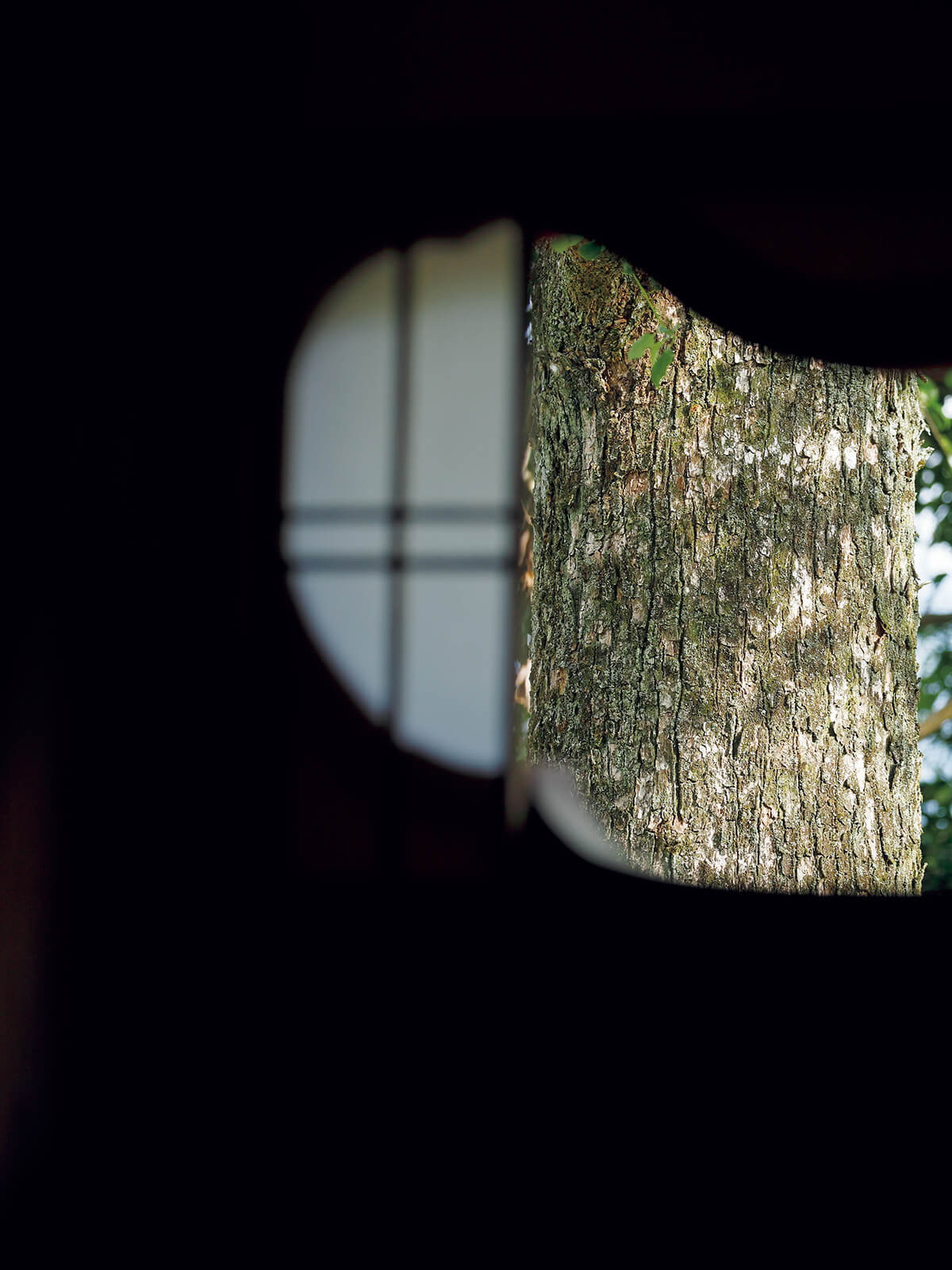 京都〈詩仙堂丈山寺〉書院の窓