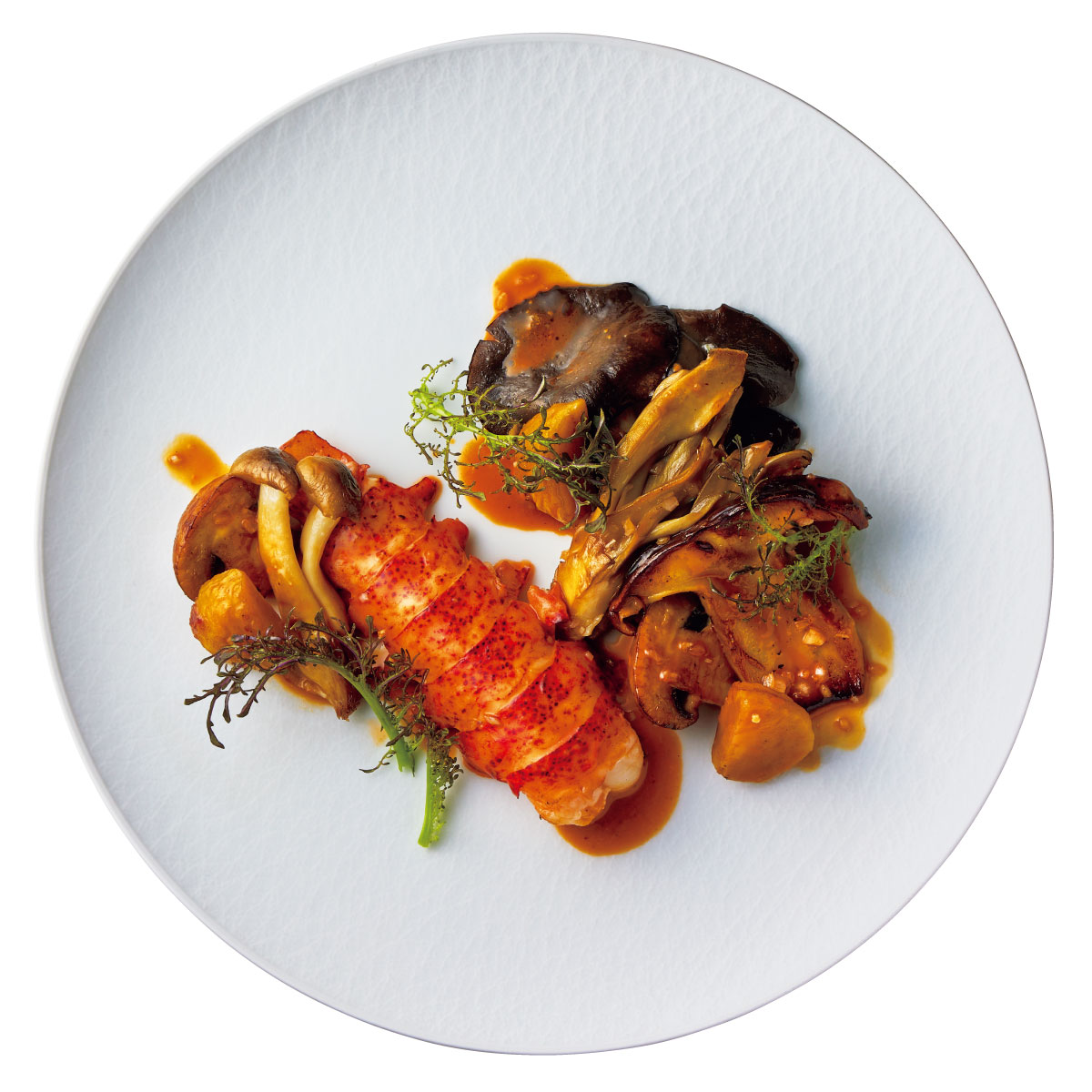 オマール海老とキノコのフリカッセ